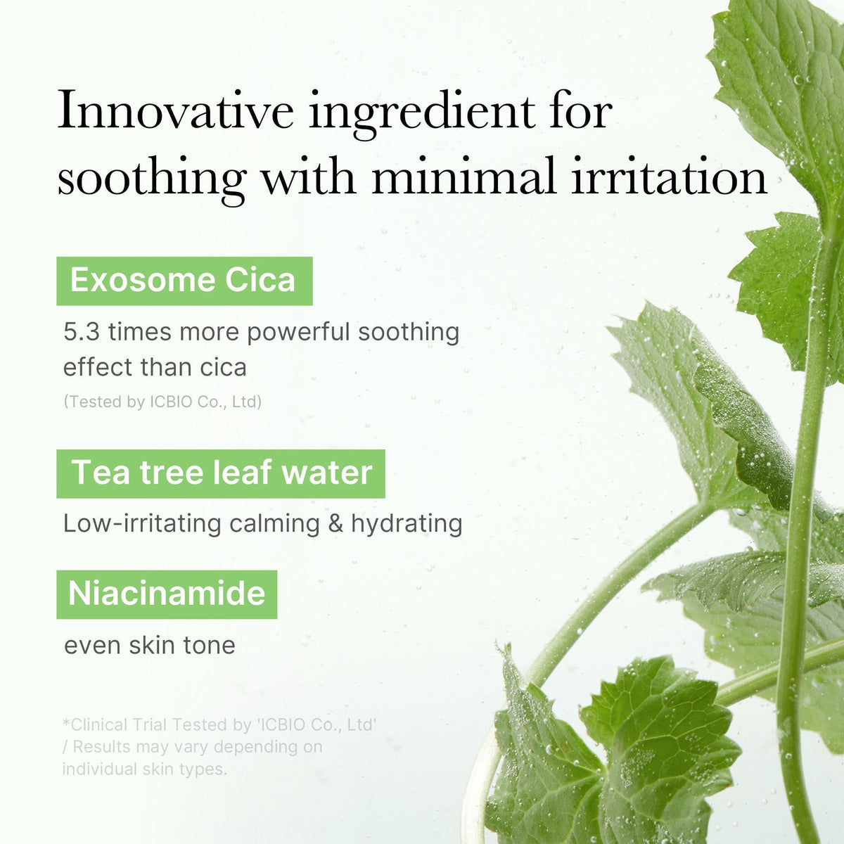 Exosome Cica Calming Toner Pads - Medicube